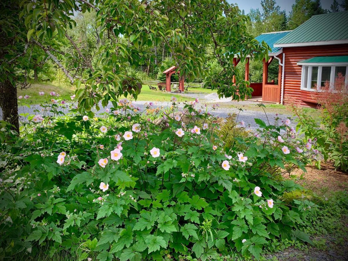 Villa Domaine Gagnon Saint Sebastien Exterior foto