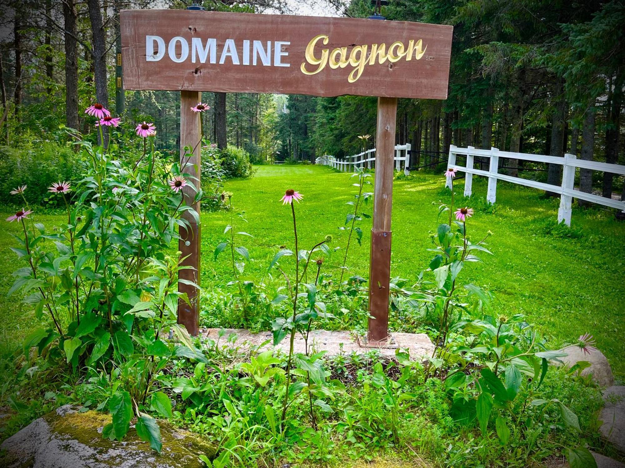 Villa Domaine Gagnon Saint Sebastien Exterior foto