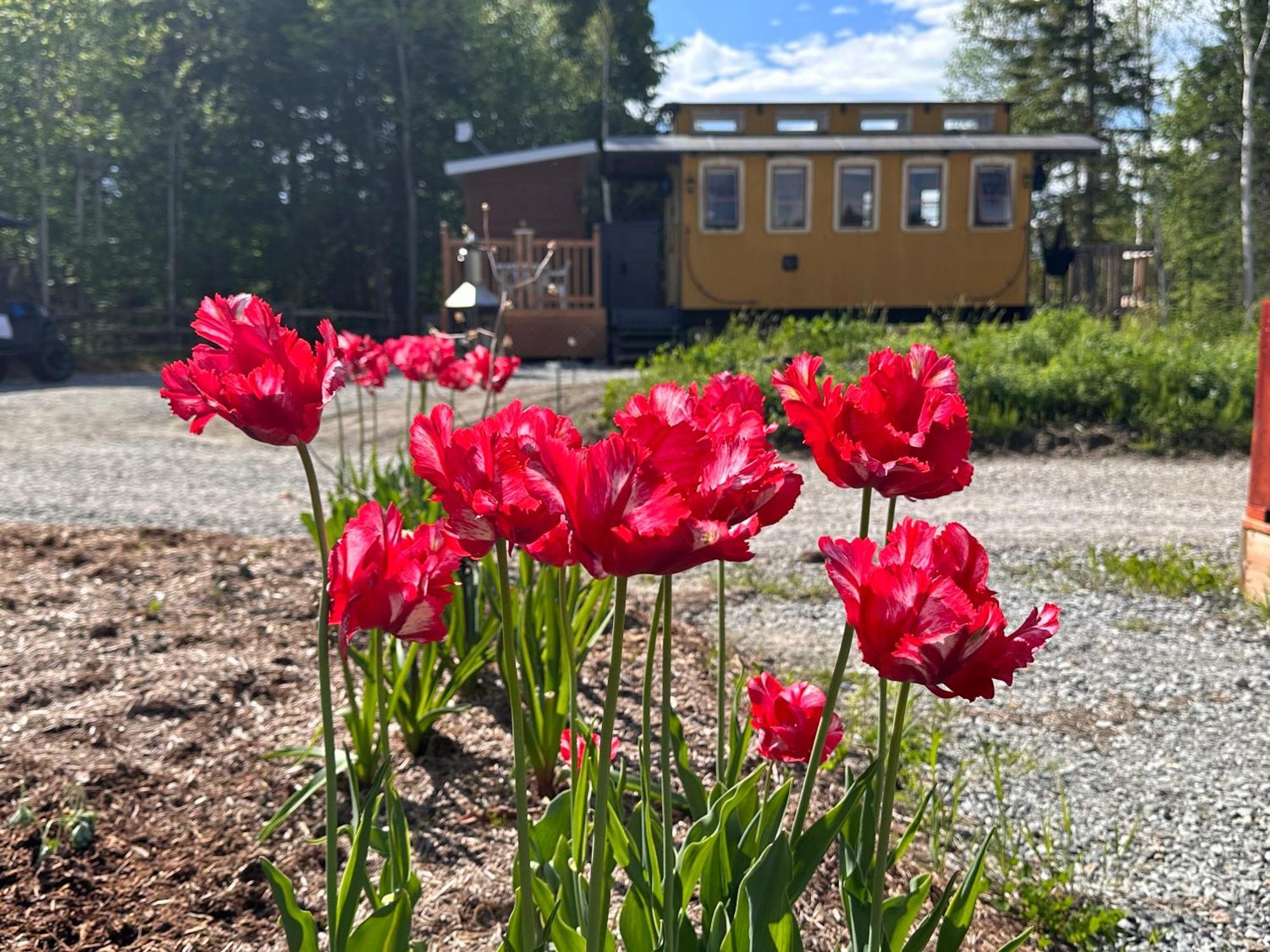 Villa Domaine Gagnon Saint Sebastien Exterior foto
